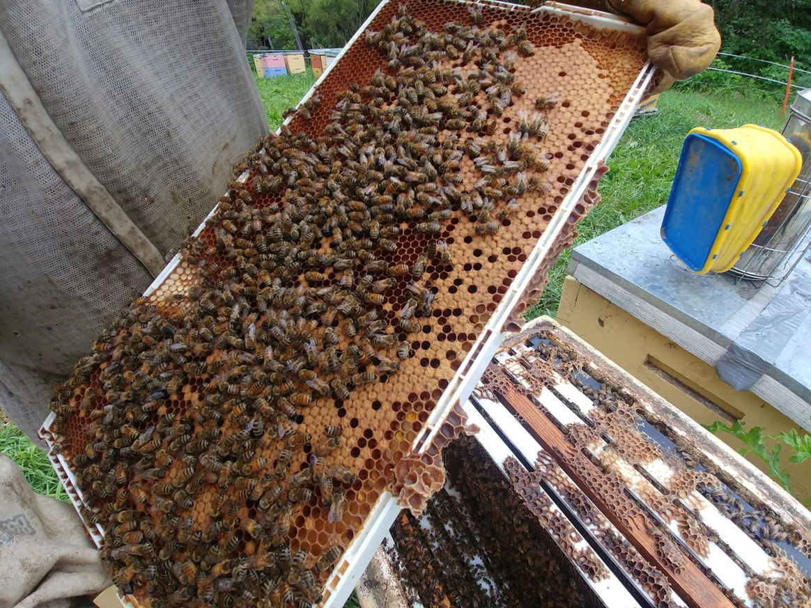 2020 Season photo 16